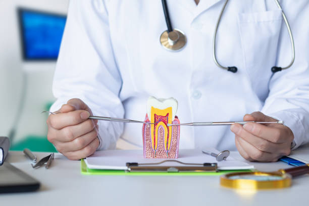 Professional Emergency Dentist in CT